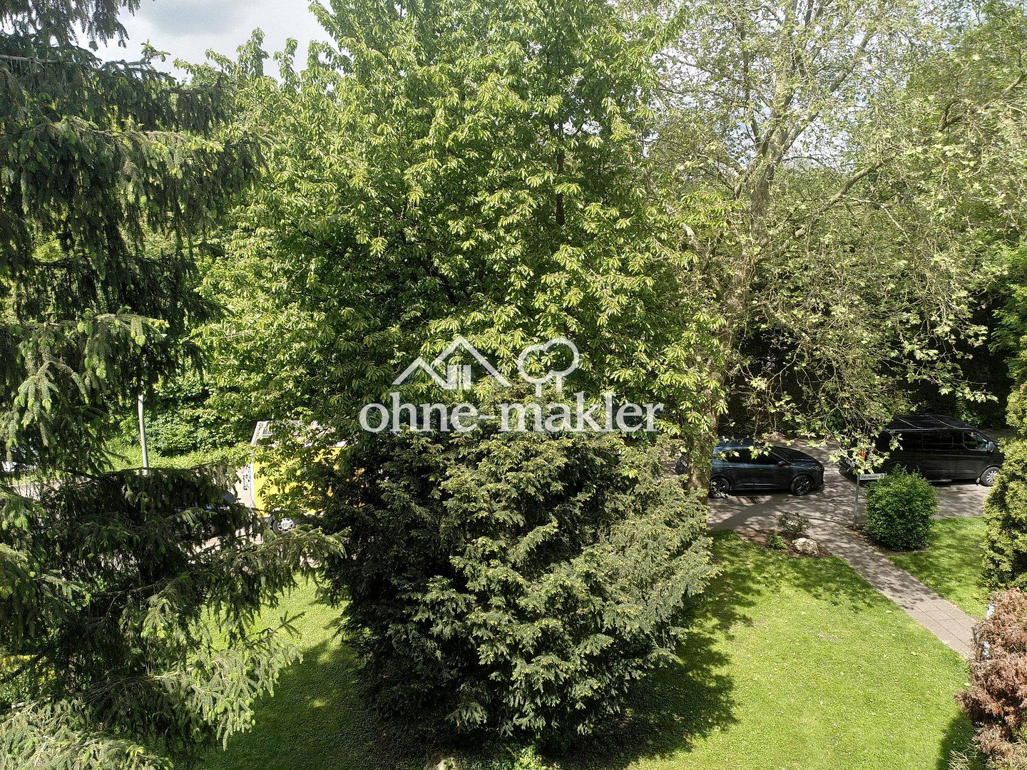 image-72755389