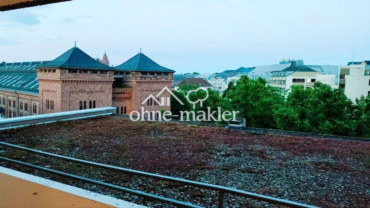 image-72479643