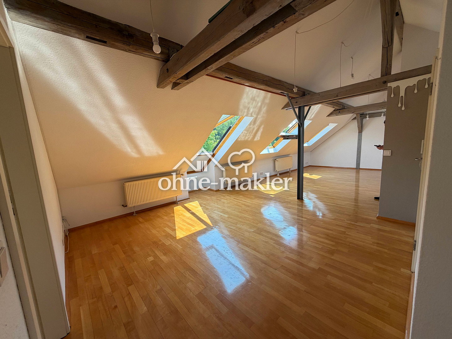 Loft mit Flair im Kurpark, 70372 Stuttgart (Bad Cannstatt)