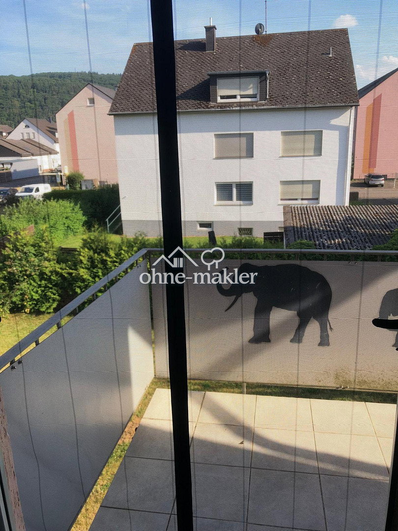 Charmante 3-ZKB-Wohnung mit Balkon in Trier-Pfalzel, 54293 Trier