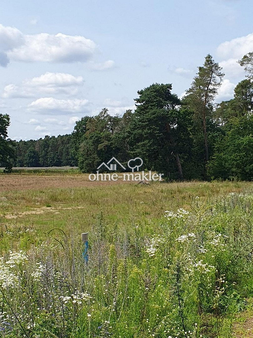 Traumgrundstück mit Weitblick in Möhrendorf, 91096 Möhrendorf