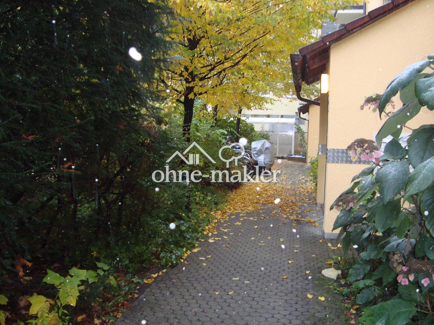 image-72755806
