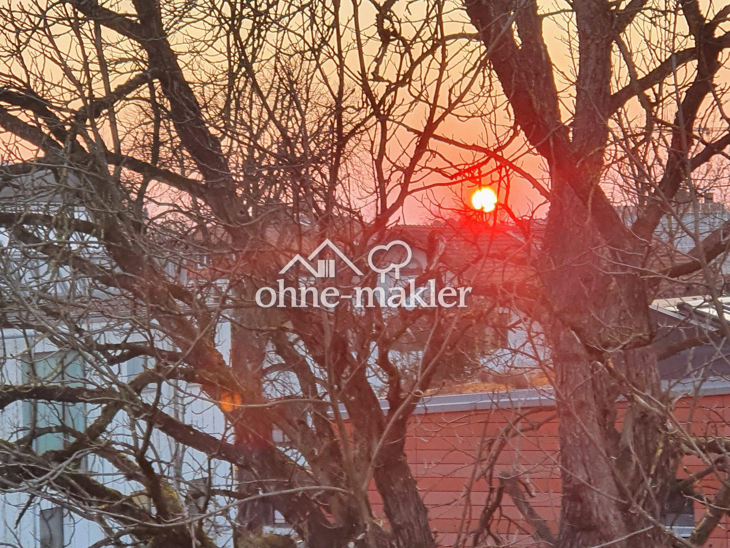 image-72826284