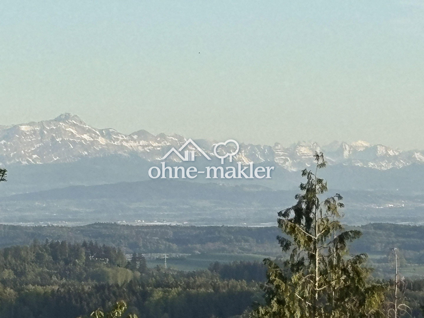 image-72630109