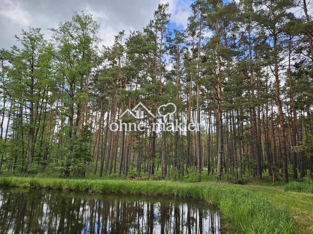 Ideal gelegenes Waldgrundstück in Gremsdorf, 91350 Gremsdorf