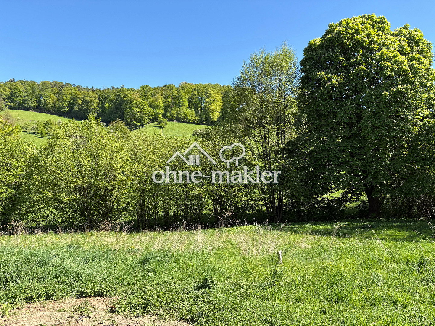 traumhafter Ausblick & ruhige Lage, 64342 Seeheim-Jugenheim