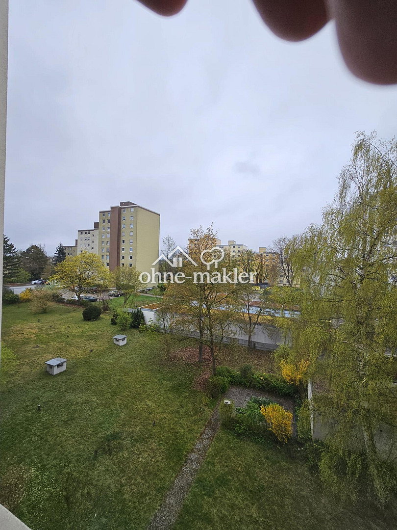 image-72479432