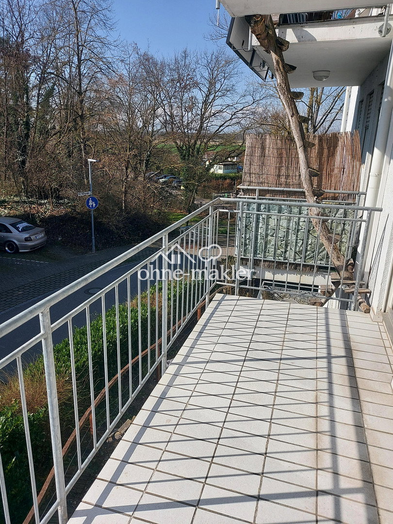 sonnige Wohnung mit Balkonen in Hartheim, 79258 Hartheim am Rhein