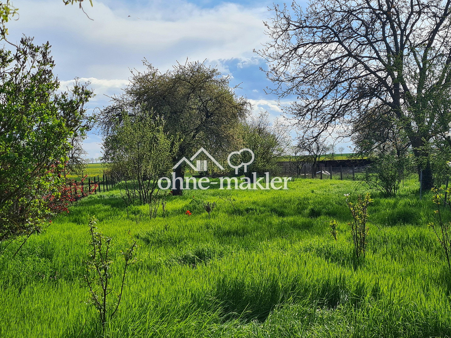 Naturidylle mit ruhiger Lage in Pobzig, 6429 Nienburg (Saale)