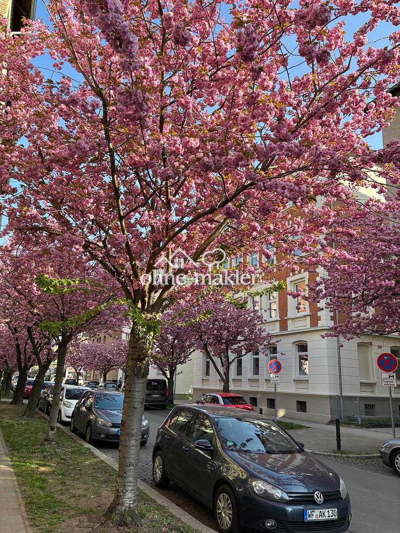 Charmante 2-Zimmerwohnung im östlichen Ringgebiet, 38106 Braunschweig (Braunschweig)