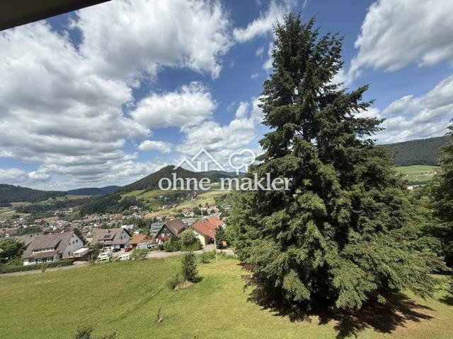 Exklusives 1-Zimmer-Appartement mit Schwimmbad Freizeitraum, 72270 Baiersbronn