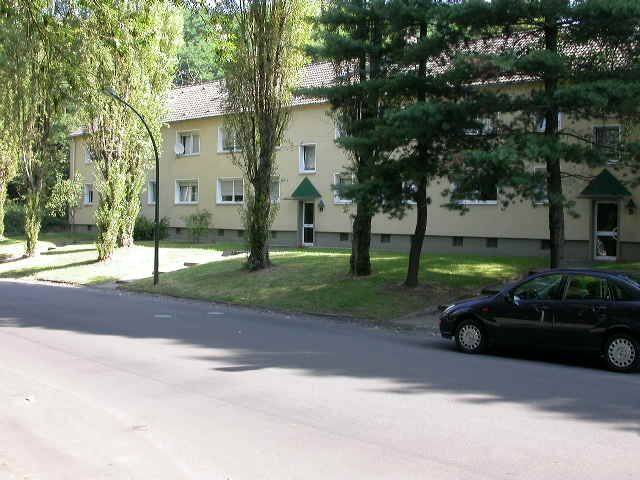 image-72588352
