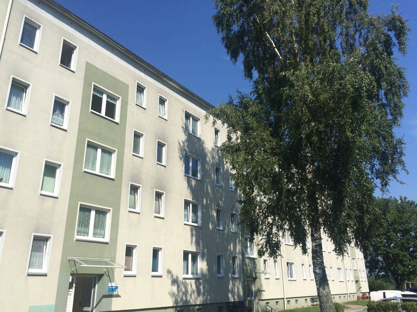 image-72686518