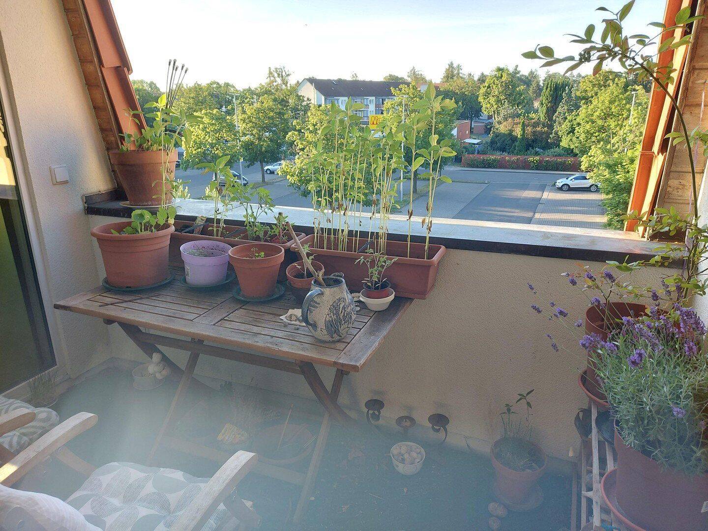 Schöne 2- Zimmerwohnung zu vermieten mit Balkon und Stellplatz, 16321 Bernau bei Berlin