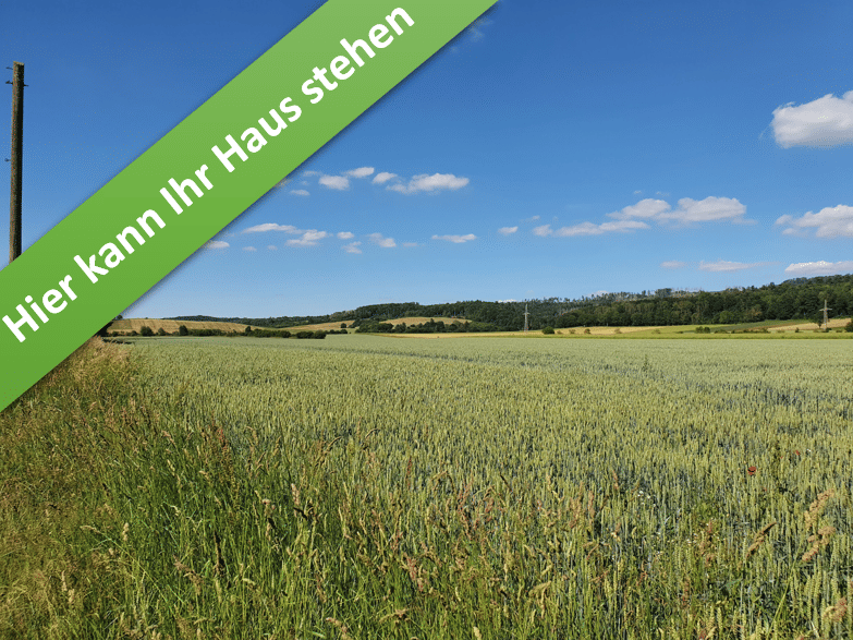 Für alle, die es großzügig lieben. Ihr Familienhaus im kommenden Baugeb. in Münchehof., 38723 Seesen