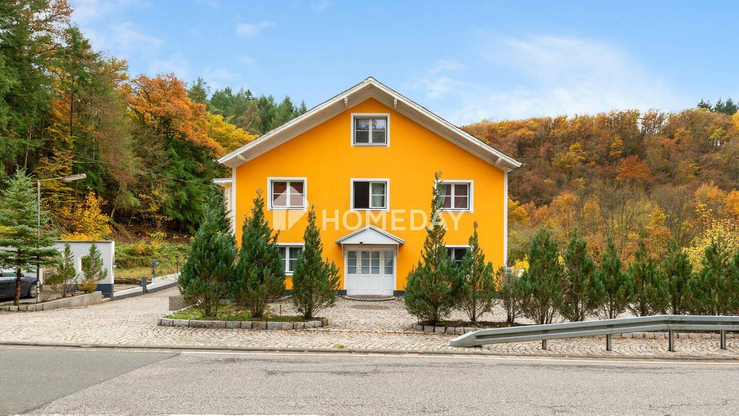 Investmentobjekt mit historischer Mühle – renditestark, erweiterbar, einzigartig, 65329 Hohenstein