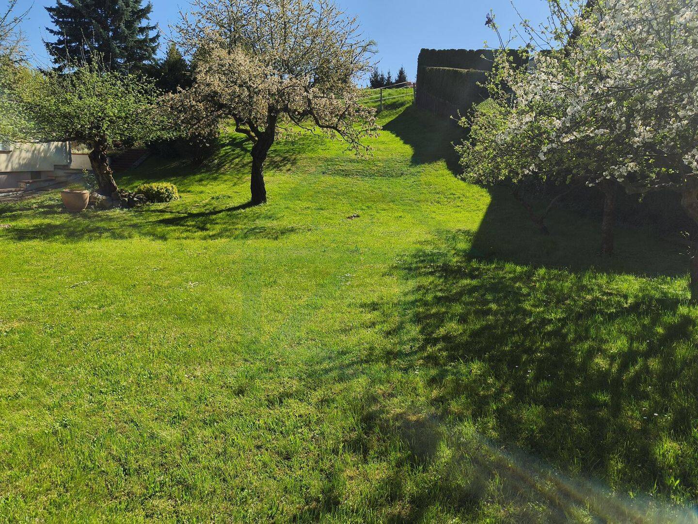 Baugrundstück mit ca. 800 m² Fläche in Eisenberg, 7607 Eisenberg
