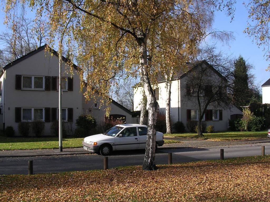 image-72998649