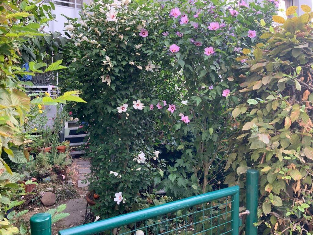 3-Zimmer Gartenwohnung – ab sofort – verfügbar, 40789 Monheim am Rhein