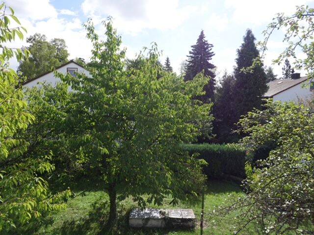 image-72699102