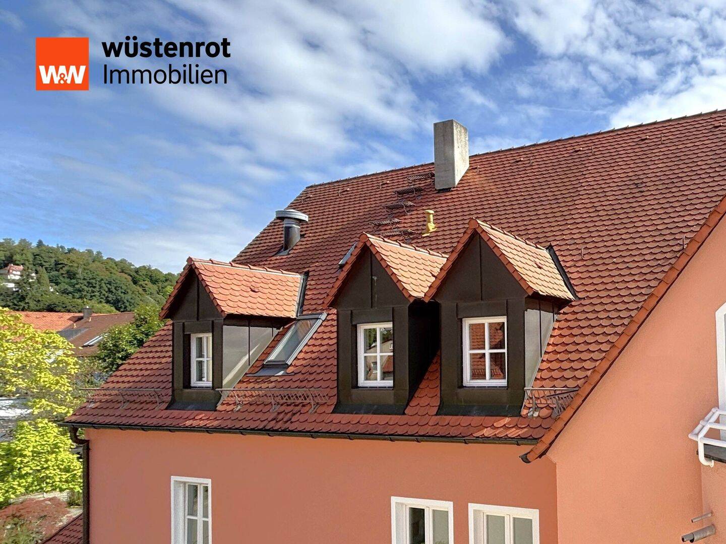 TOP renovierte 1-Zimmer-DG-Wohnung, mit EBK, Aufzug und TG-Stellplatz in Citylage, 91217 Hersbruck