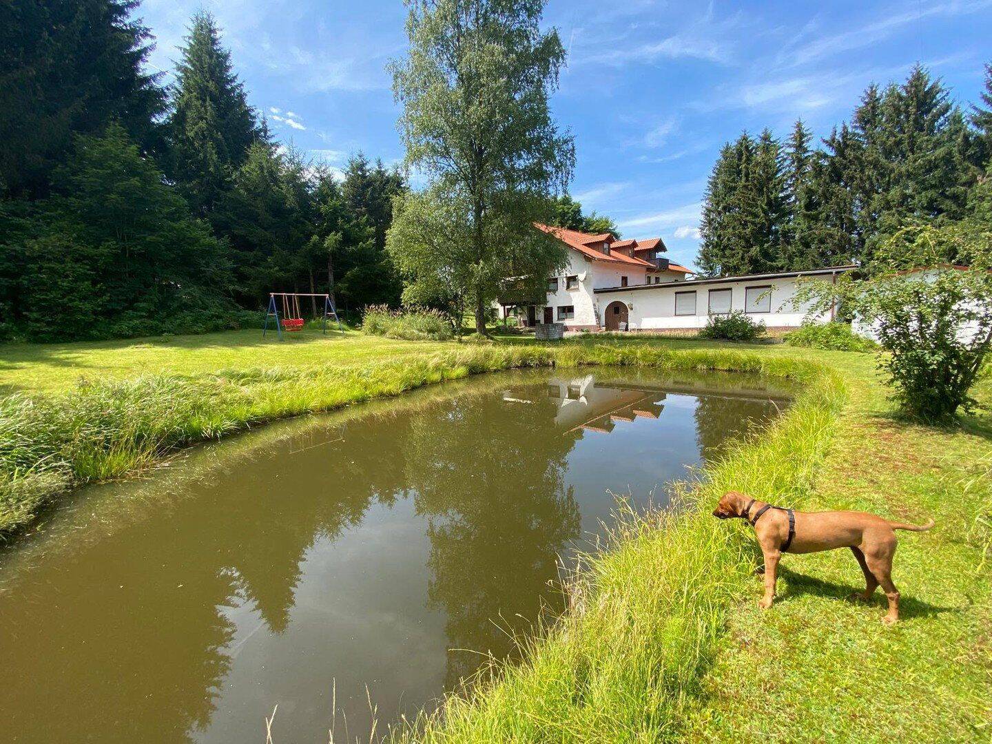 Ohne viel Eigenkapital zum Eigenheim, 94089 Neureichenau