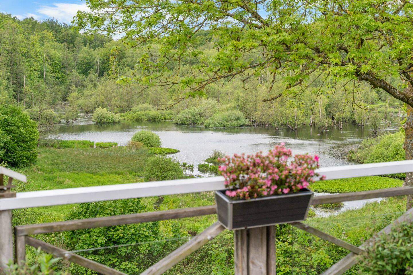 Exklusives Anwesen am Friedewald – Historisches Ensemble mit luxuriösem Wohn- und Vermietungskonzept, 24960 Glücksburg (Ostsee)