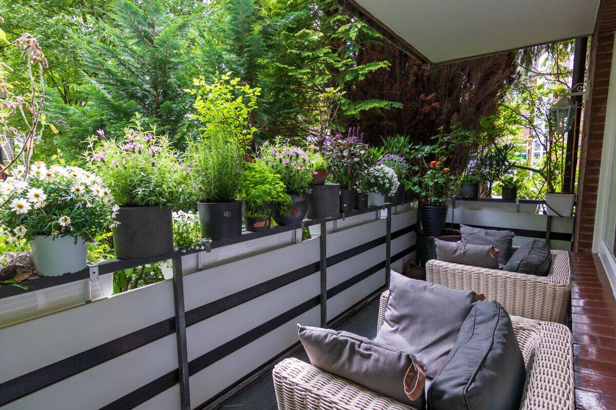 Stilvolles Wohnjuwel mit Balkon, 22337 Hamburg (Hamburg-Nord Alsterdorf Ohlsdorf)