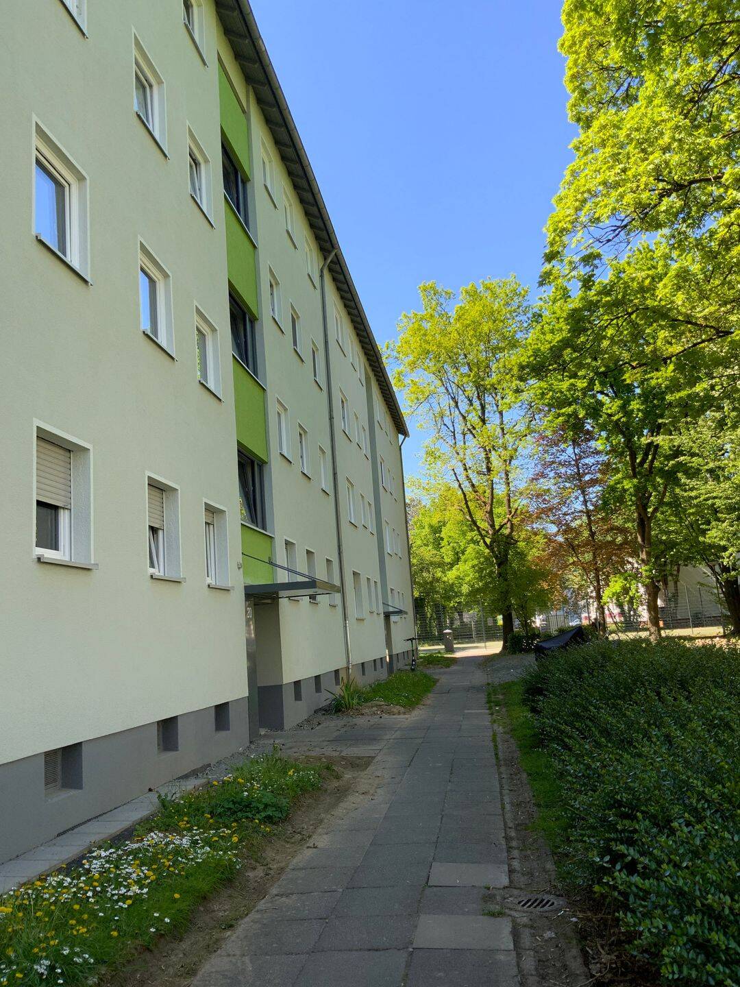 image-72938504