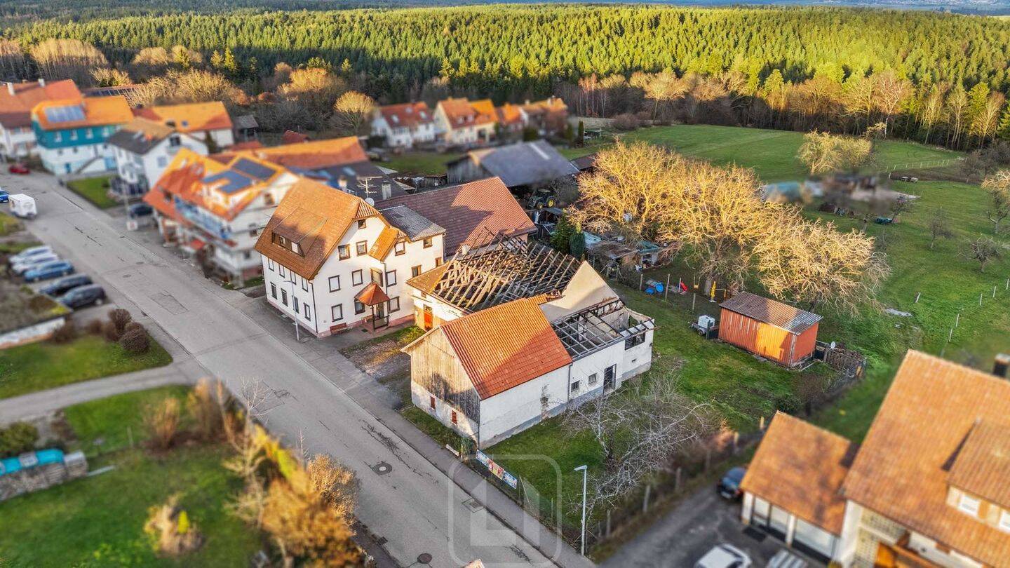 Investment-Duo: Mehrfamilienhaus & Grundstück mit Scheune in grüner Lage | Entwicklungspotenzial, 75378 Bad Liebenzell