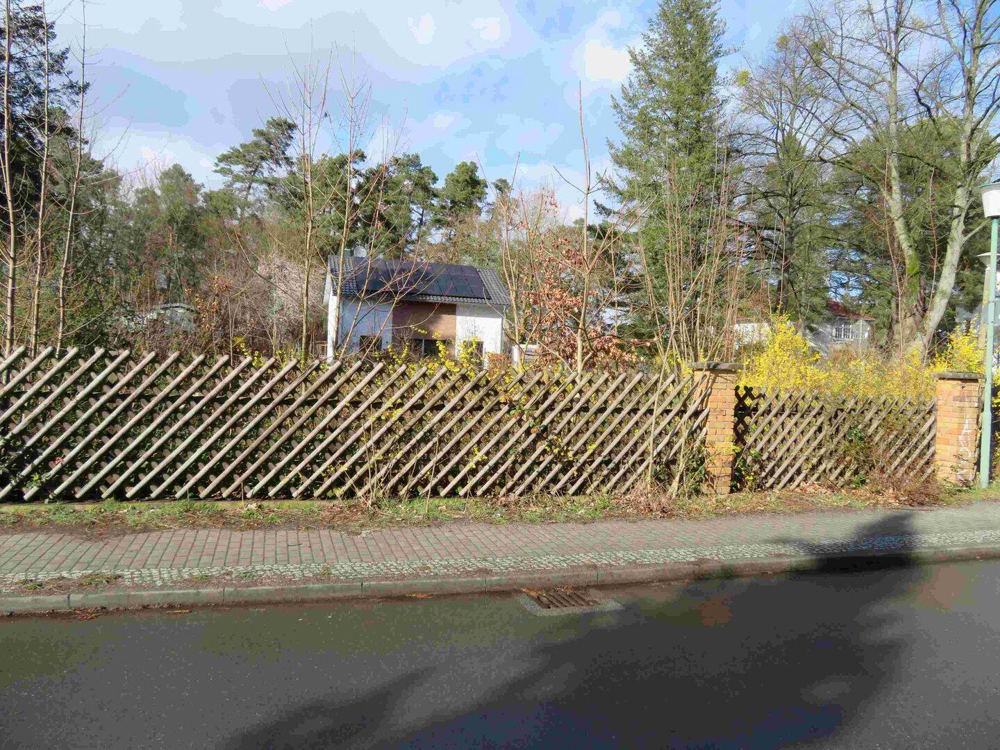image-72500918