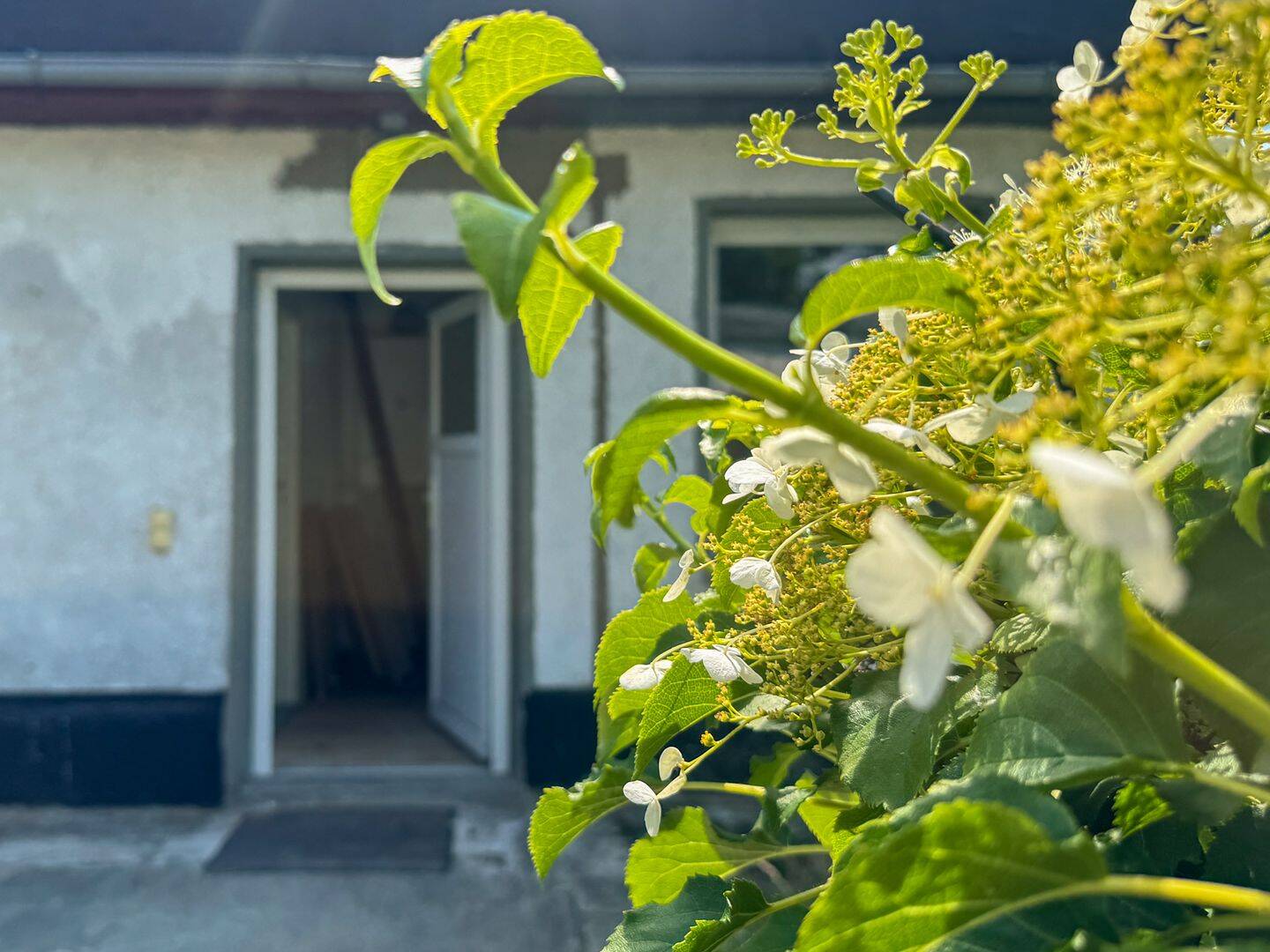 Sanierungsbedürftiger Bungalow auf attraktivem Baugrundstück, 13127 Berlin (Pankow)