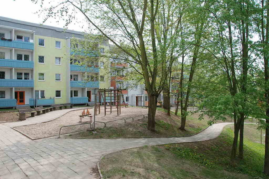 image-72682456