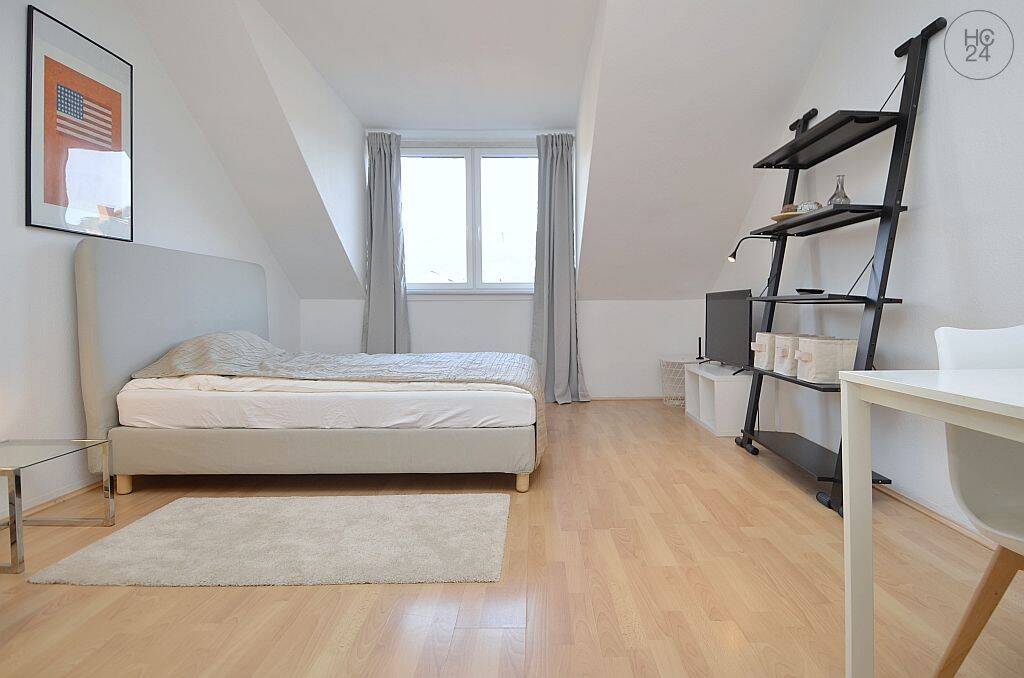 Gemütliches möbliertes 1-Zimmer Apartment mit Internet in Wiesbaden, 65185 Wiesbaden (Wiesbaden)