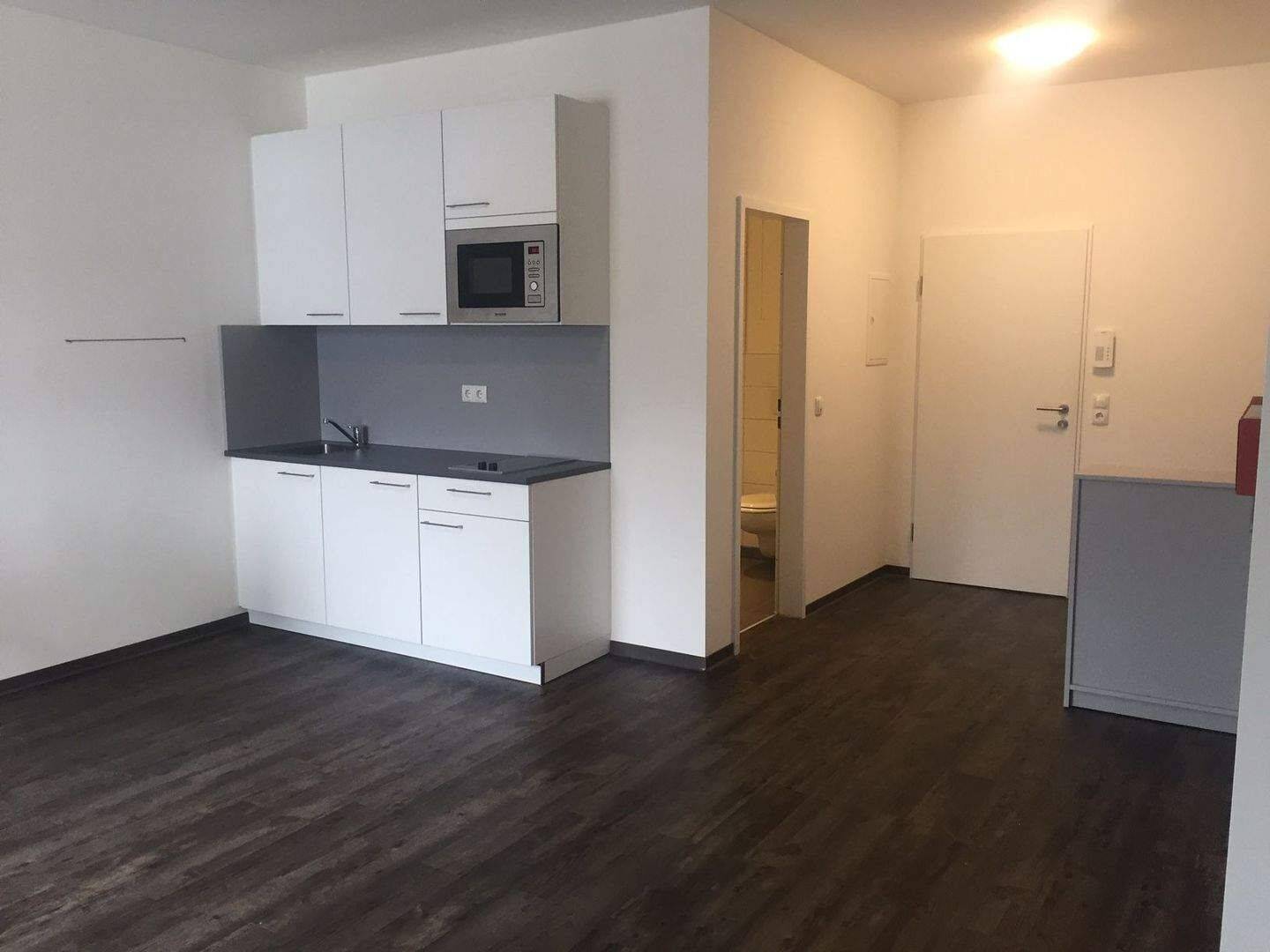APARTMENT 1.21 – Modernes Duschbad – praktische Einbauküche – schöne Möblierung, 38678 Clausthal-Zellerfeld