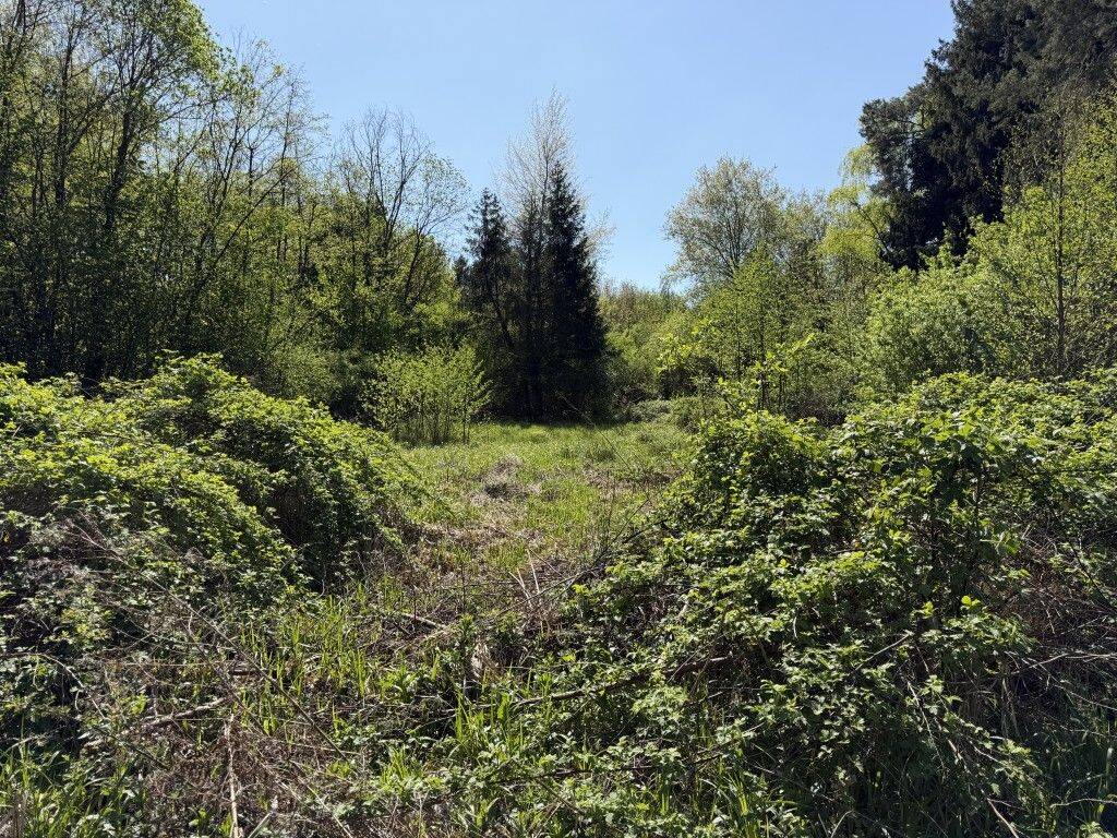 Großzügiges Baugrundstück in Wadgassen, 66787 Wadgassen