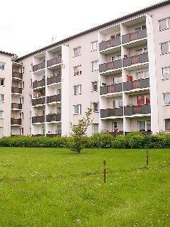 schöne 1-Zimmer-Wohnung direkt am Britzer Garten, 12107 Berlin (Tempelhof-Schöneberg)
