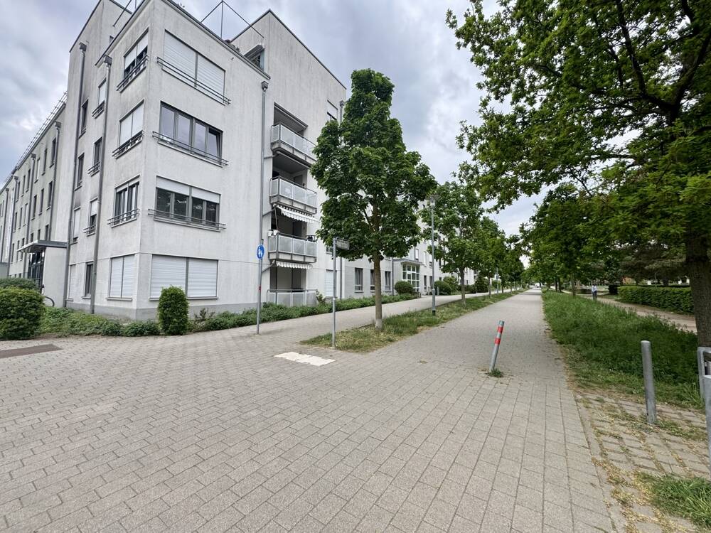image-72628869