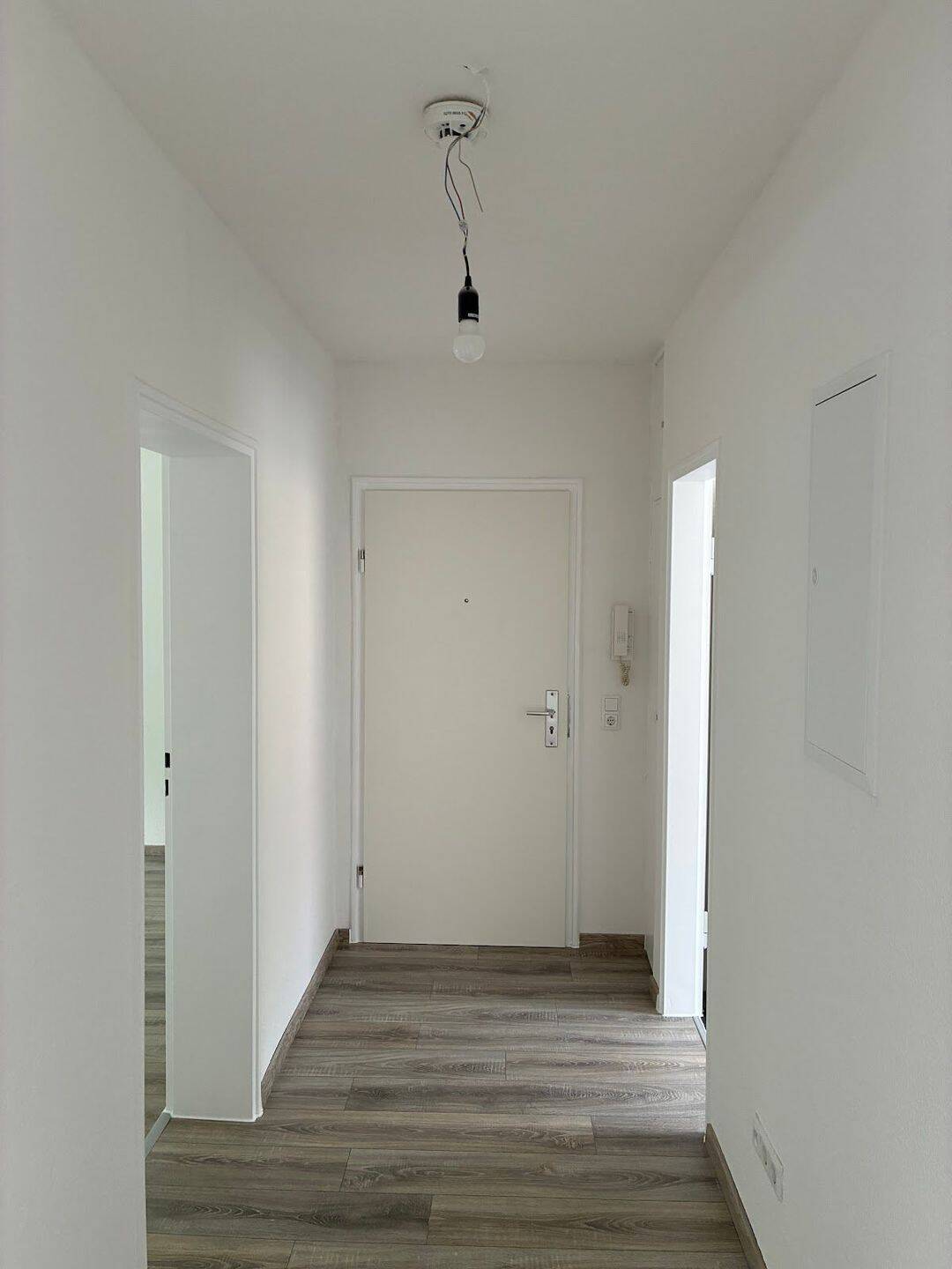 image-72854817