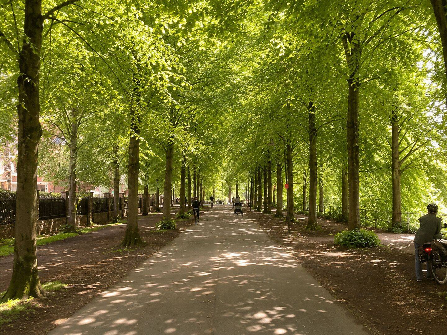 Promenaden-Traum! Sofort-bezugsfertige Innenstadtwohnung in hervorragender Lage, 48151 Münster (Aaseestadt Centrum Geist)