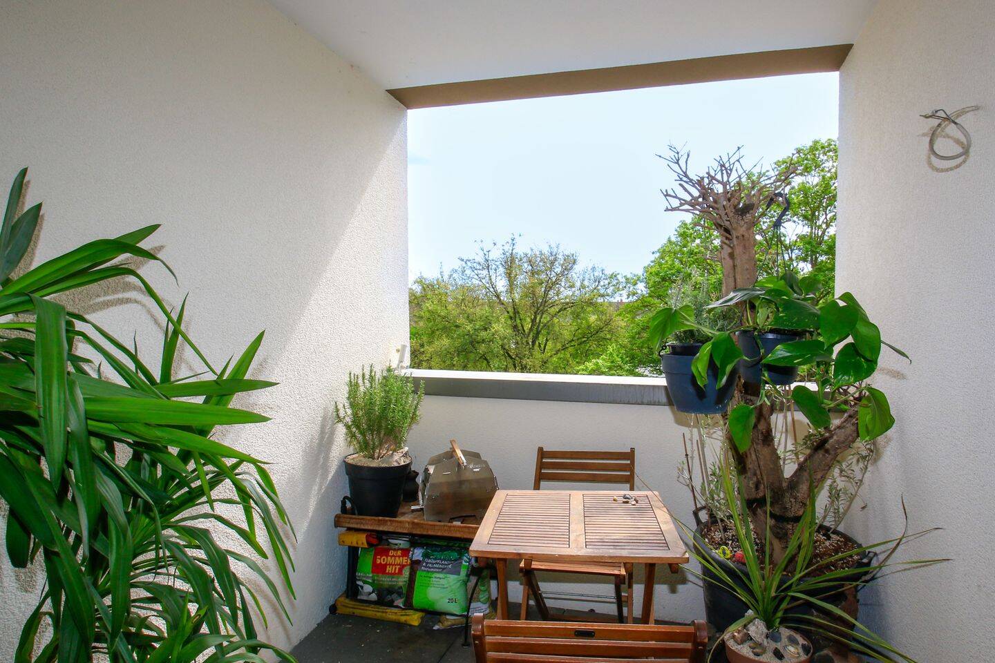 Attraktive 2 ZKB mit Balkon und TG-Stellplatz, 67061 Ludwigshafen am Rhein (Mitte Süd)