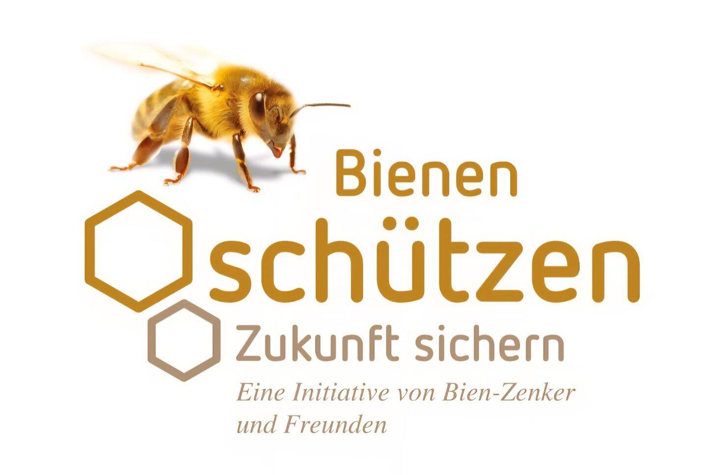 Schnell sein lohnt sich! Wir bauen Ihr Traumhaus zum Bestpreis inkl. Grundstück!- BIEN ZENKER-, 55595 Hargesheim