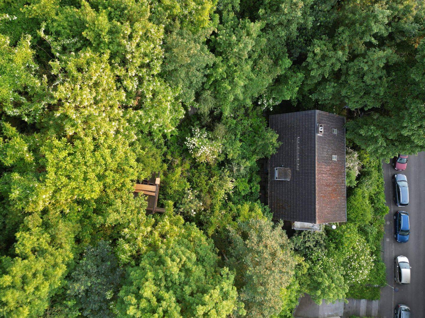 Naturnahes Baugrundstück mit Aussicht am Fuße des Venusbergs, 53129 Bonn (Dottendorf Kessenich Poppelsdorf Zentrum)