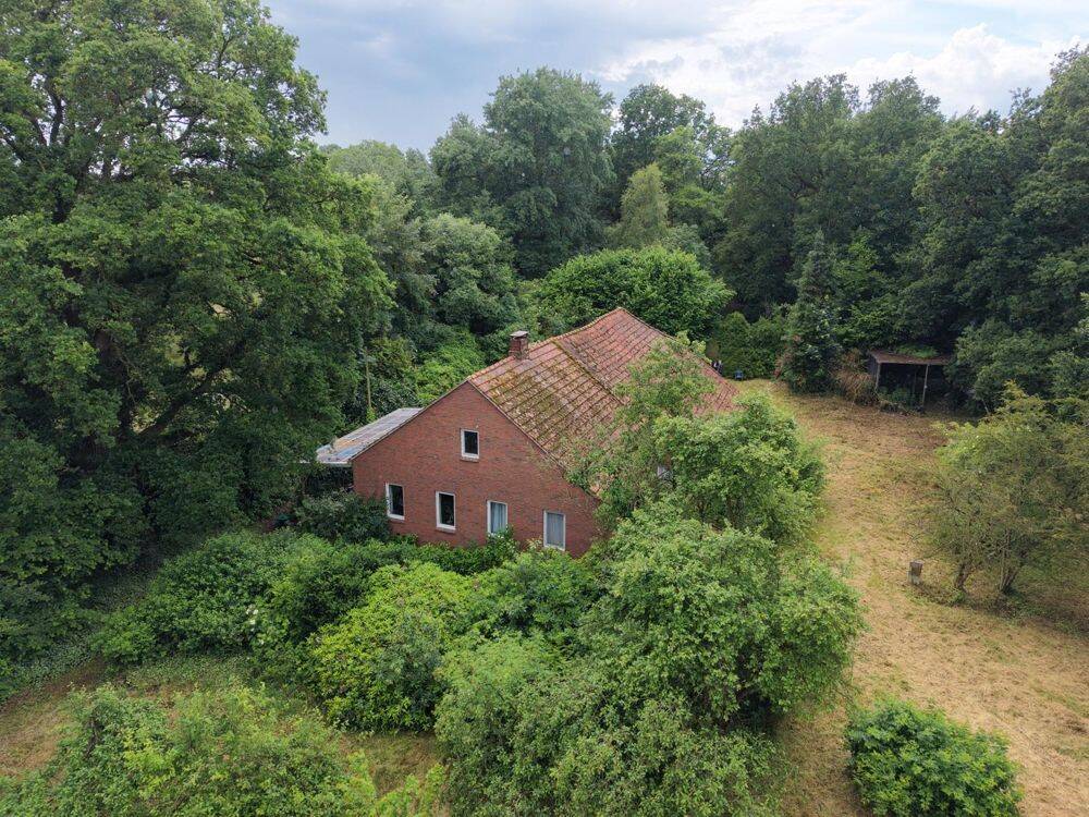 *Landhausidylle auf 2,74 ha in Burlage – Ihr Rückzugsort im Grünen*, 26817 Rhauderfehn