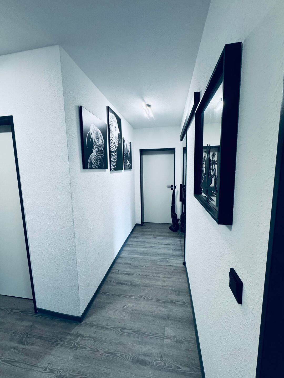 Frisch sanierte 67 m² Wohnung mit Südbalkon – Erstvermietung nach Sanierung in Alsdorf-Mariadorf, 52477 Alsdorf