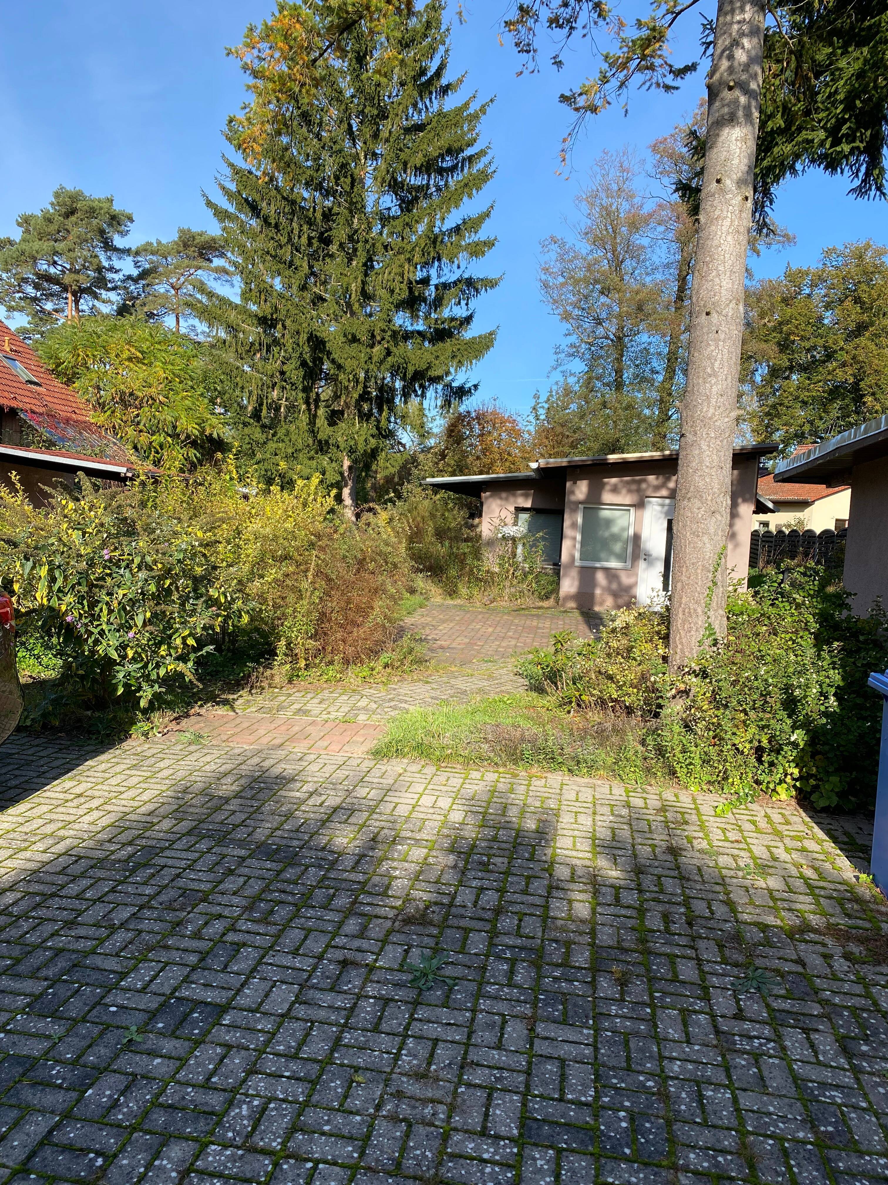 image-72679285