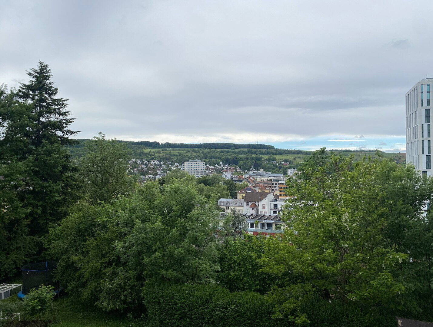 image-72746775