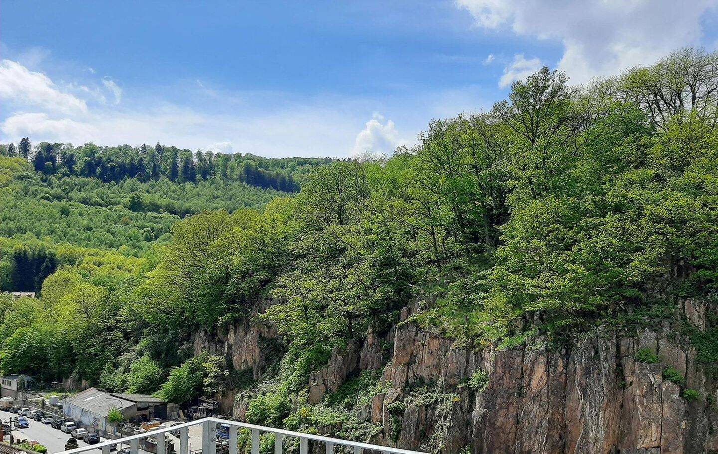 Neubau: 1 Zimmer Wohnung mit Aussicht – naturnah bei Heidelberg, 69118 Heidelberg (Peterstal Schlierbach Ziegelhausen)