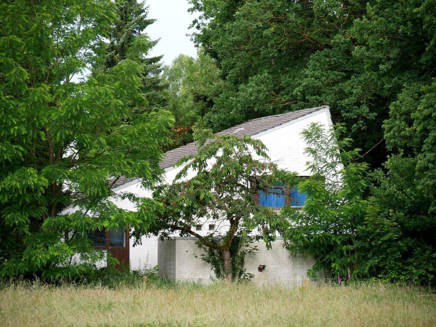 Architektenhaus auf außergewöhnlichem Grundstück – 1.604 m² mit unverbaubarem Weitblick, 27283 Verden (Aller)