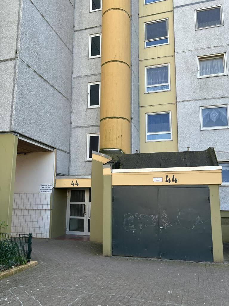 image-72503925